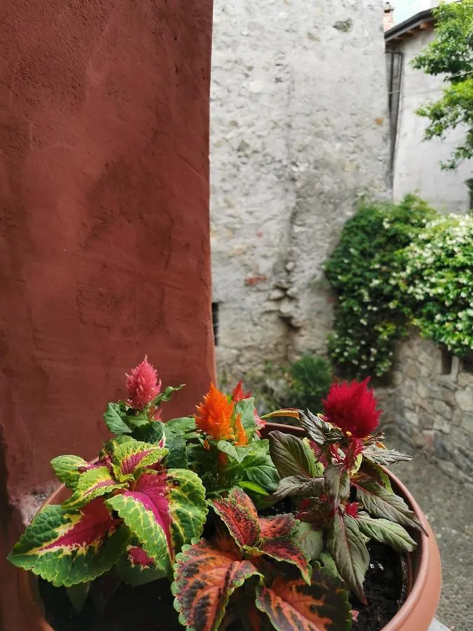 Alla Torre Del Barbarossa Bed & Breakfast Mandello del Lario